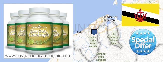 Dónde comprar Garcinia Cambogia Extract en linea Brunei